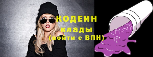 хмурый Алзамай