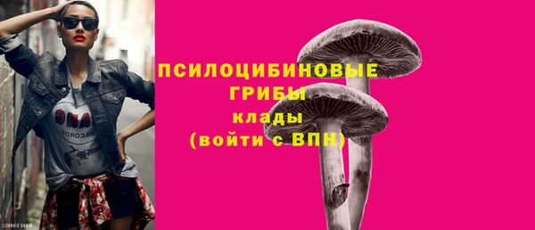 ПСИЛОЦИБИНОВЫЕ ГРИБЫ Абаза