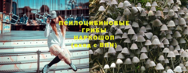 хмурый Алзамай