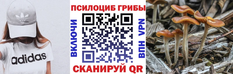 наркошоп  Пучеж  мориарти официальный сайт  Галлюциногенные грибы мухоморы  mega сайт 