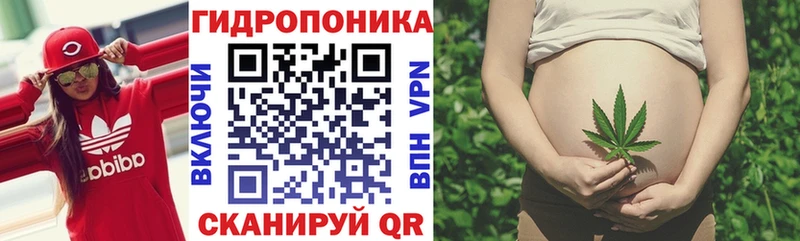 как найти закладки  Пучеж  Шишки марихуана индика 